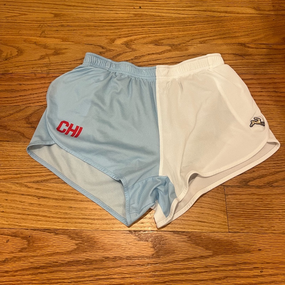 Tracksmith Blue and White Athletic Shorts